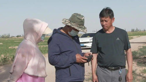 騰格里經(jīng)濟(jì)技術(shù)開發(fā)區(qū) 無人機(jī)撒藥技術(shù)開發(fā)助力農(nóng)業(yè)提質(zhì)增收